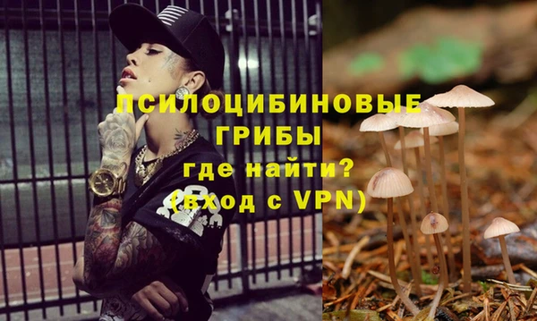 apvp Алексеевка