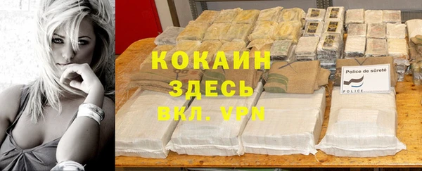 кокс Алексин