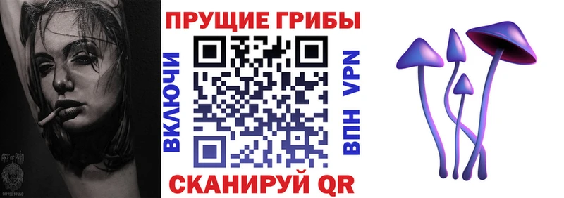 Псилоцибиновые грибы Cubensis  Старый Оскол 